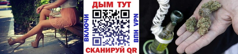 APVP Шахунья