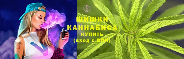 ПСИЛОЦИБИНОВЫЕ ГРИБЫ Нязепетровск