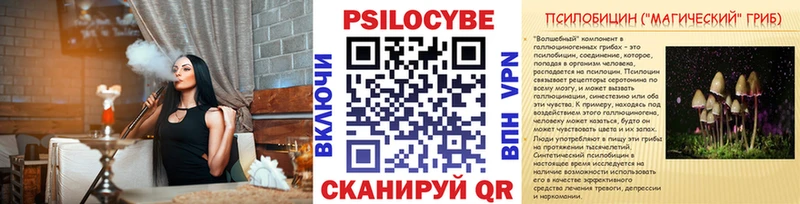 купить наркотики цена  Шахунья  площадка как зайти  Галлюциногенные грибы ЛСД 